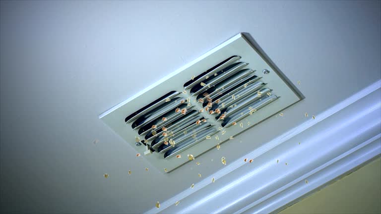 Best Professional Duct Cleaning Services  in Saratoga Springs, UT