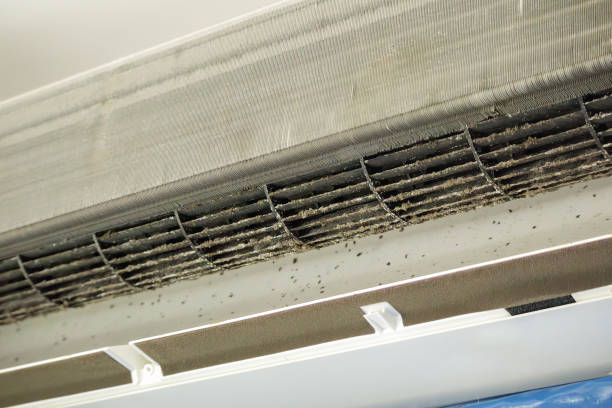 Best Affordable Duct Cleaning Services  in Saratoga Springs, UT